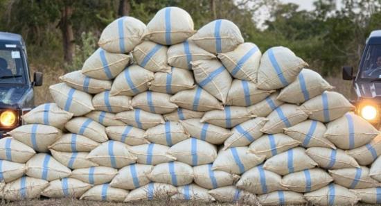 Over Rs. 73 Million Worth Of Cannabis Seized